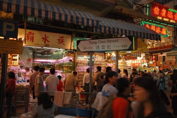 香港--汇集精品鱼商的金鱼街