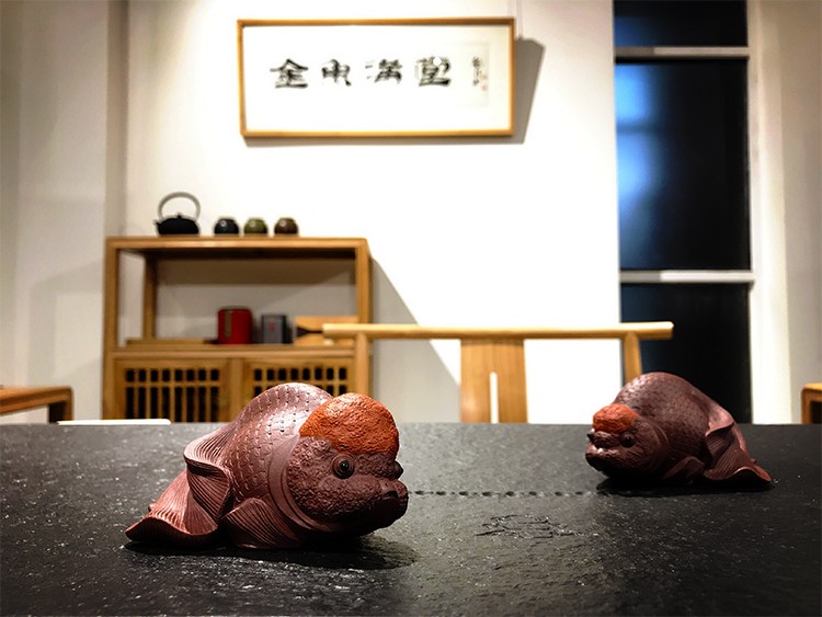 金鱼满堂国鱼文化博物馆
