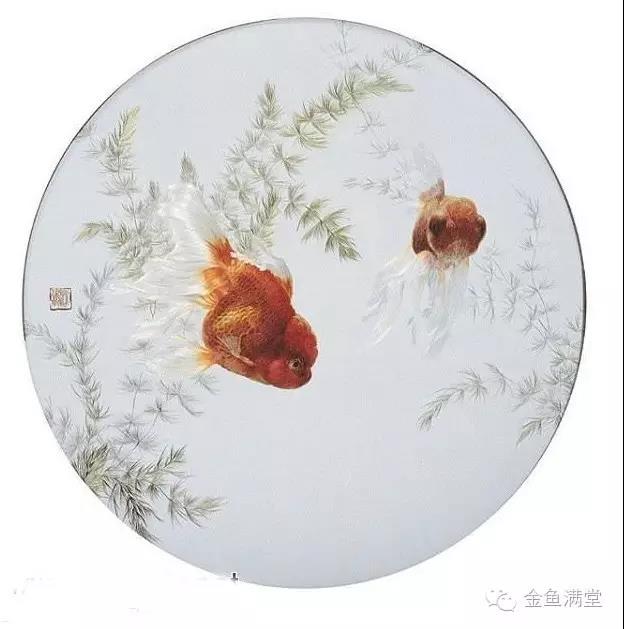 到底是谁创造了中国金鱼？