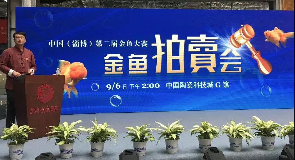 惊叹！中国最贵