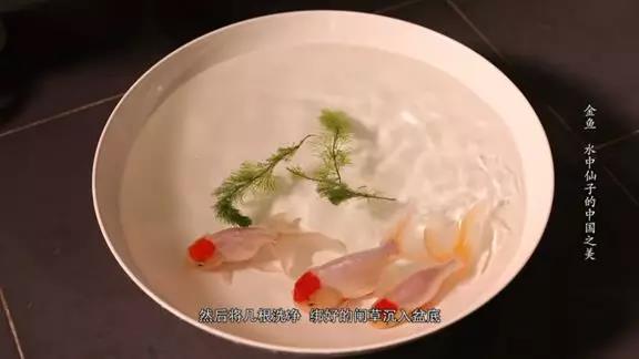 金鱼满堂出品国鱼文化纪录片