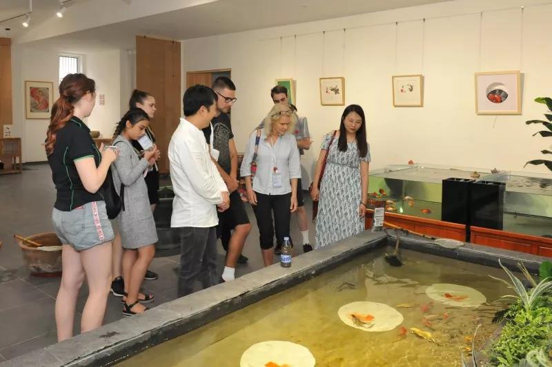 国际国内大学生共同掀起金鱼文化热潮