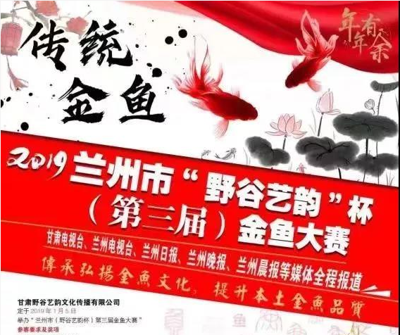 带你的爱鱼来参赛！兰州金鱼大赛火热报名中——