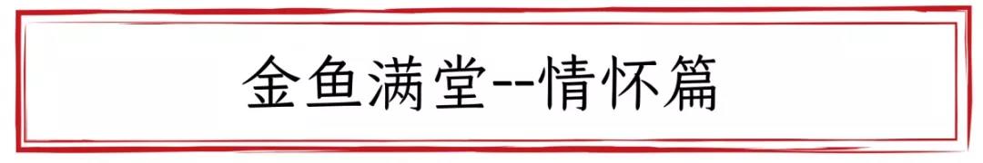 让你品茶有趣儿，送礼有面儿的“它”