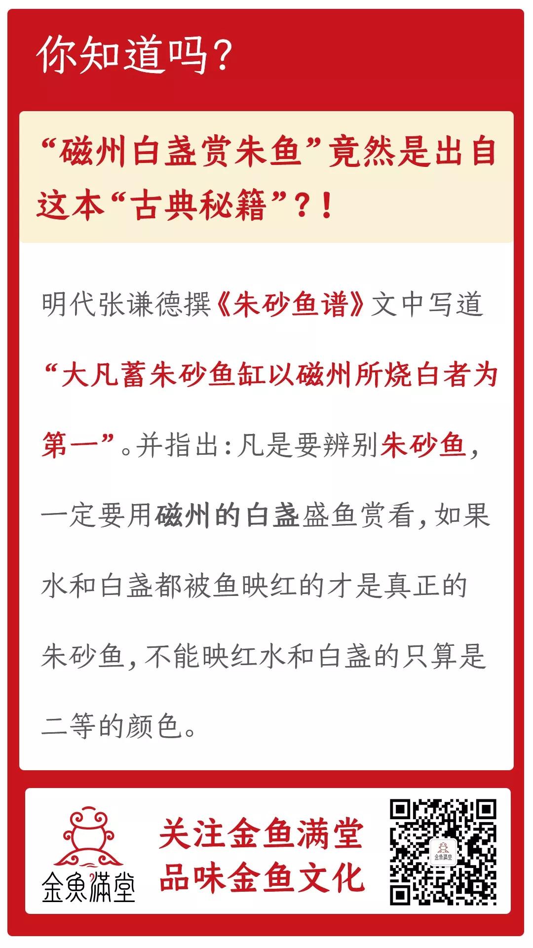 金鱼轶事丨“磁州白盏赏朱鱼”竟然是出自这本“古典秘籍”？！