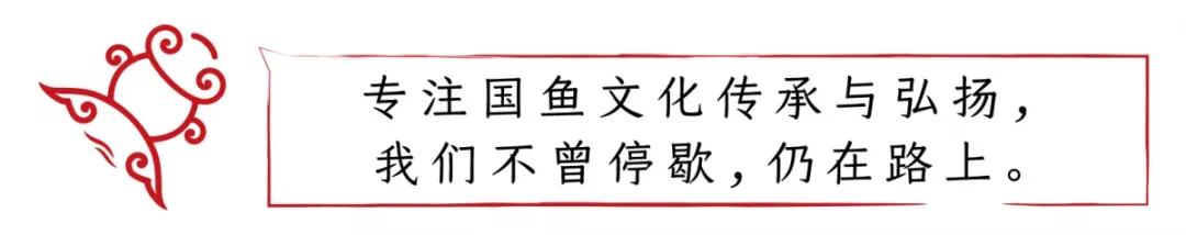 评鱼集锦丨三位泰斗、五位专家、十余位大咖，看完让你秒变大神！