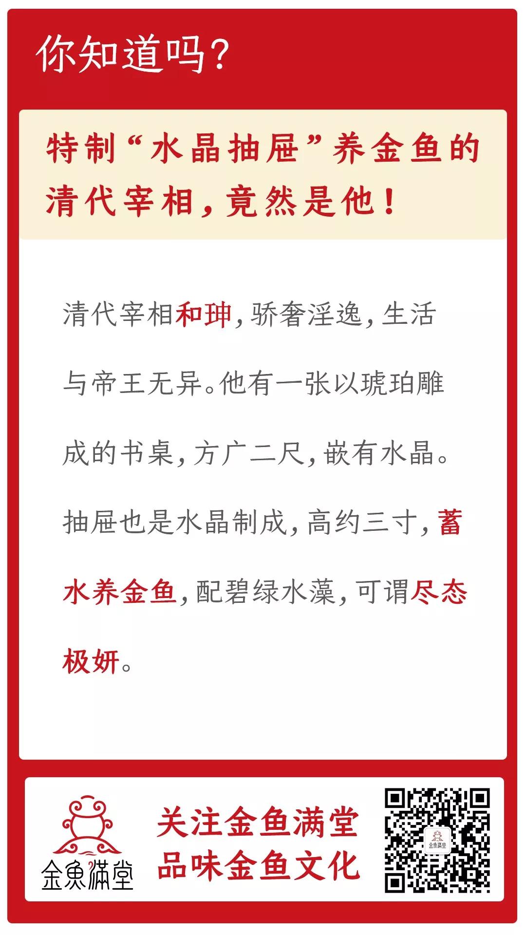 金鱼轶事丨特制“水晶抽屉”养金鱼的清代宰相，竟然是他！！