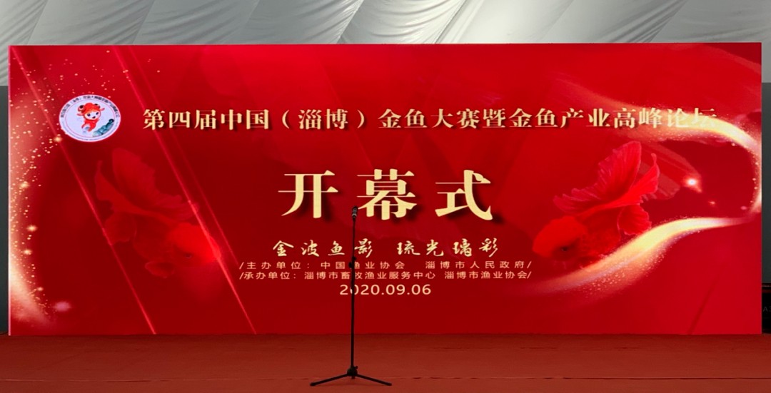 现场 | 第四届中国(淄博)金鱼大赛正式开幕!