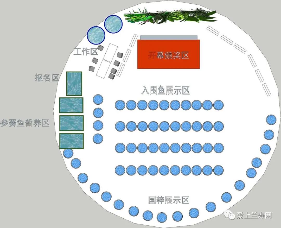 梦幻兰寿2020全国大赛暨百花齐放金鱼展即将开幕！