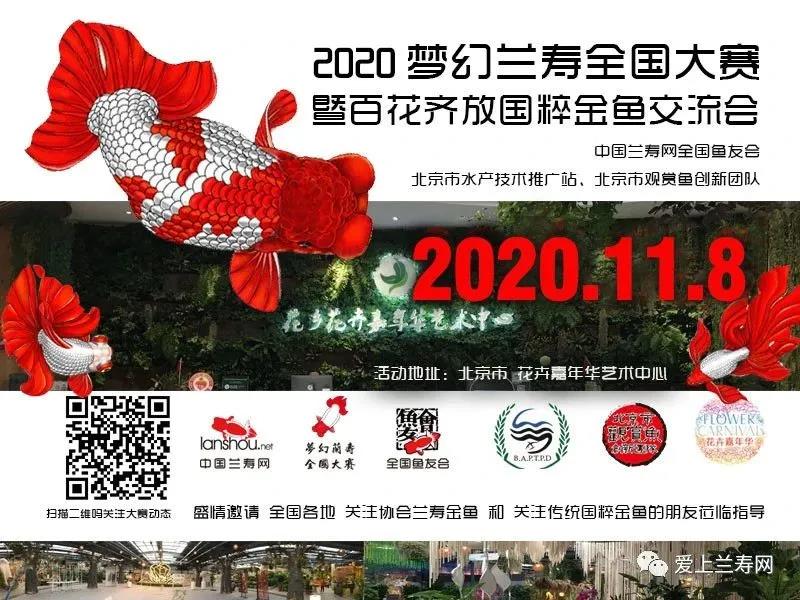 梦幻兰寿2020全国大赛暨百花齐放金鱼展即将开幕！